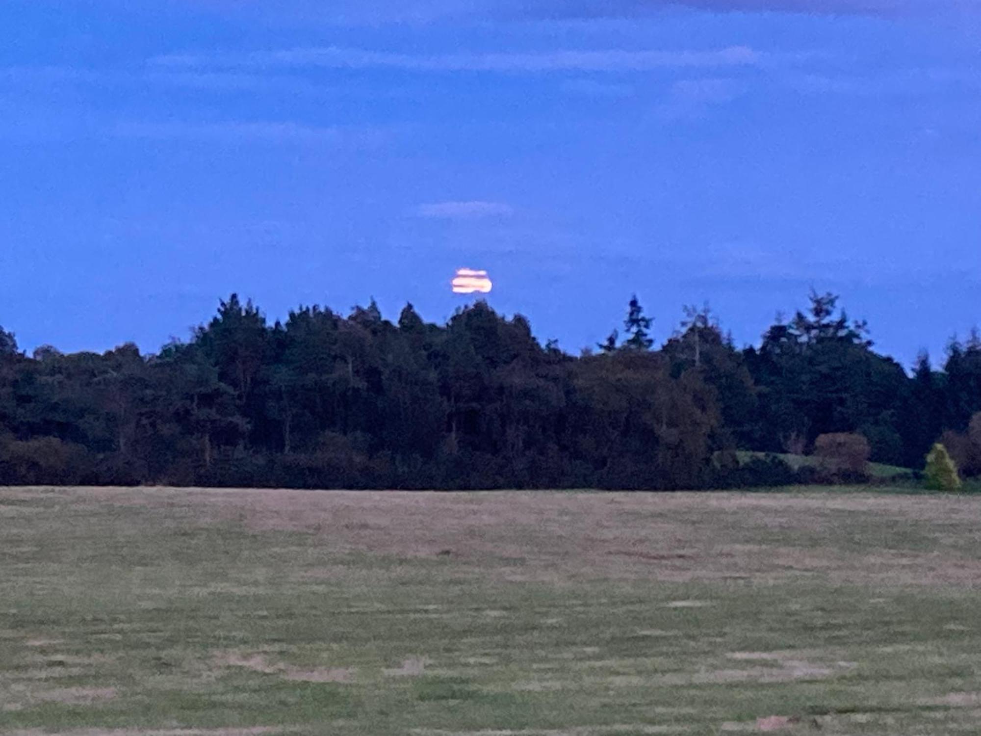 Clashmore Wood Dornoch Exterior foto