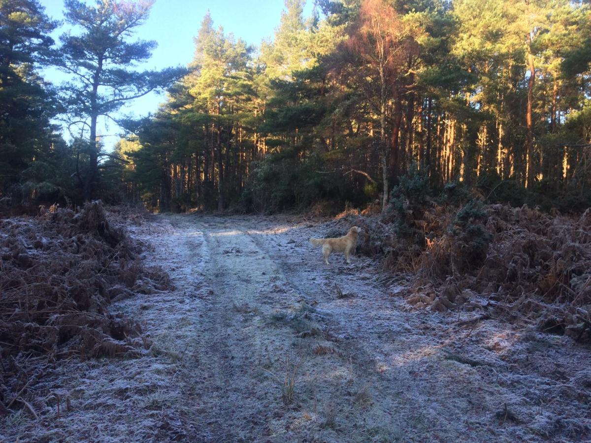 Clashmore Wood Dornoch Exterior foto